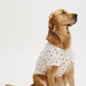 Novelty Dog Shirt